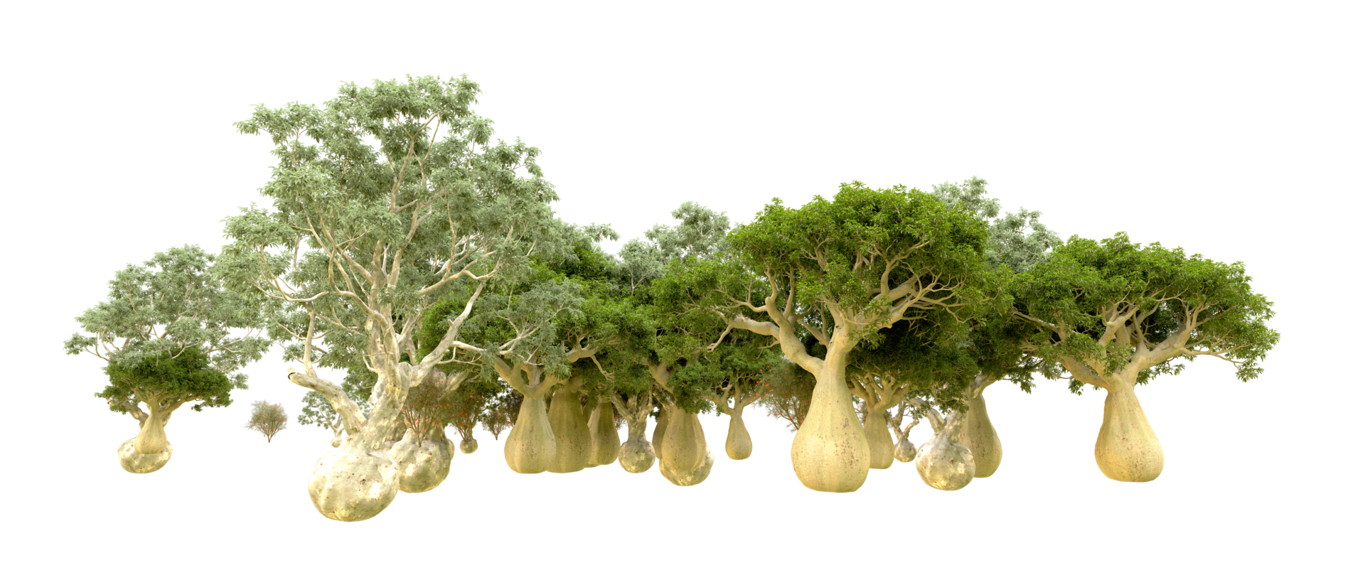 Green forest isolated on background. 3d rendering - illustration png