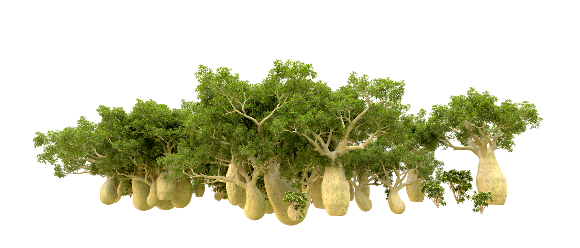 Green forest isolated on background. 3d rendering - illustration png