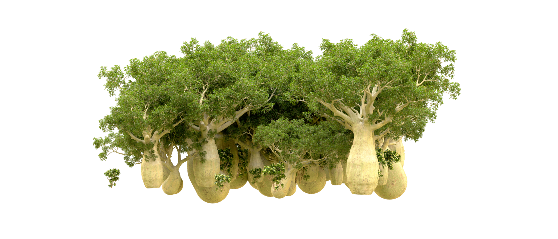 Green forest isolated on background. 3d rendering - illustration png
