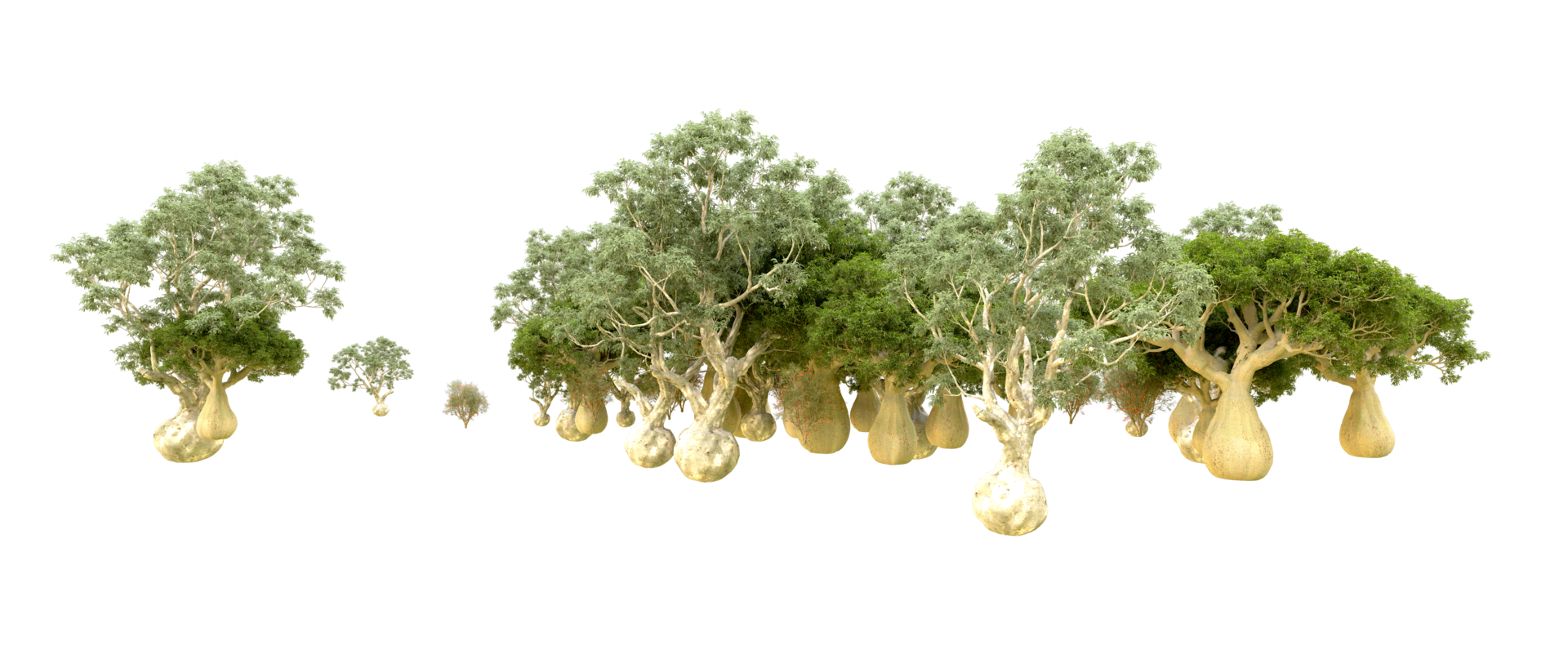Green forest isolated on background. 3d rendering - illustration png