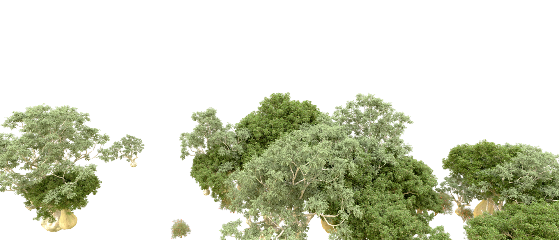 Green forest isolated on background. 3d rendering - illustration png