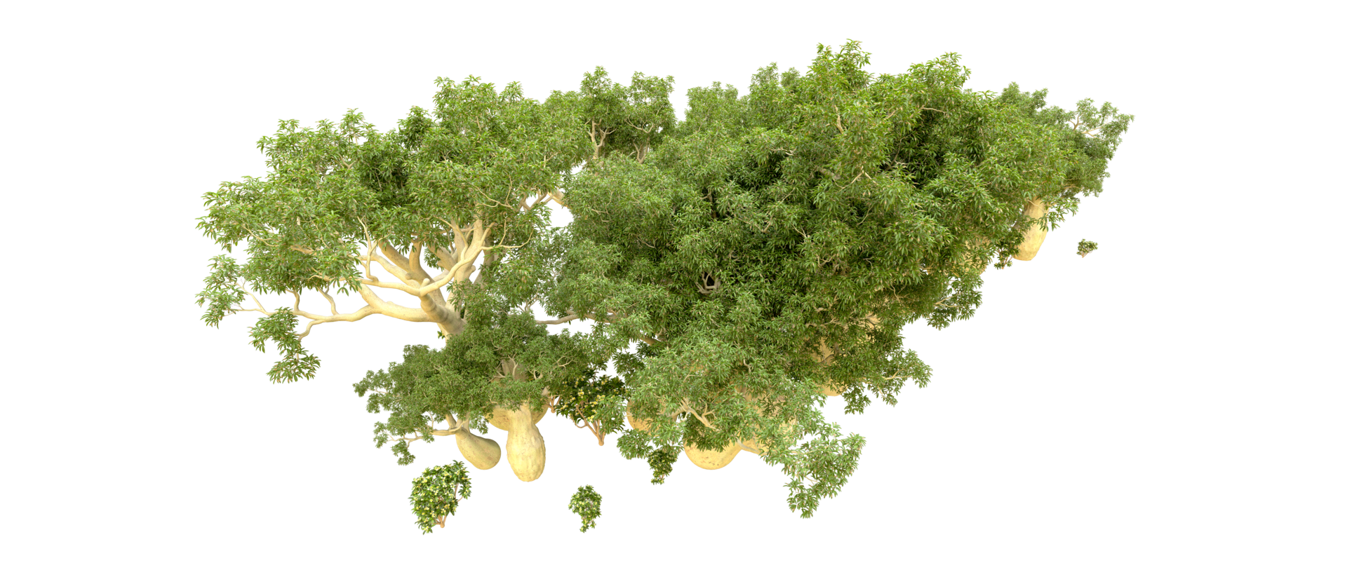 Green forest isolated on background. 3d rendering - illustration png