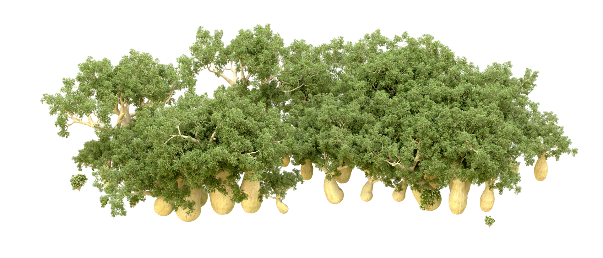 Green forest isolated on background. 3d rendering - illustration png