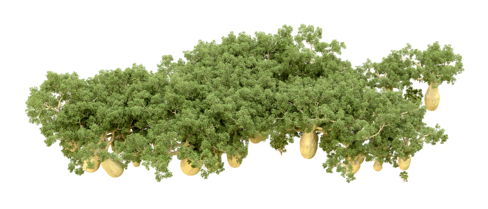 Green forest isolated on background. 3d rendering - illustration png