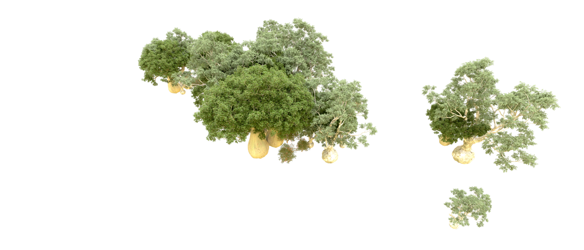 Green forest isolated on background. 3d rendering - illustration png