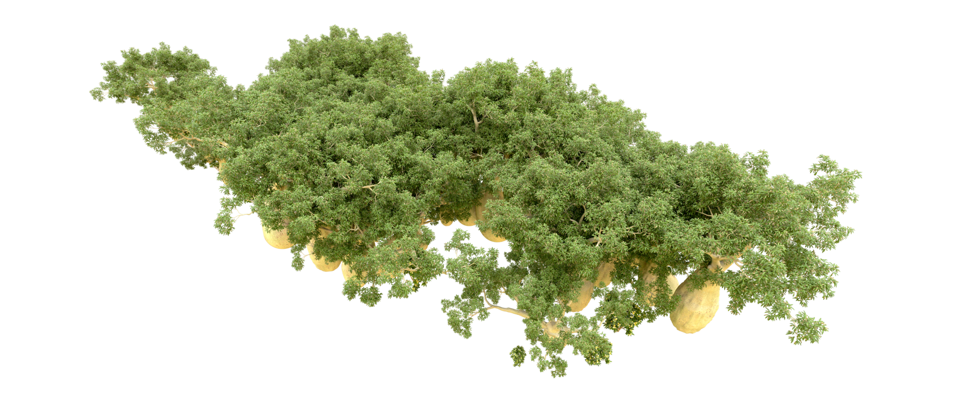 Green forest isolated on background. 3d rendering - illustration png