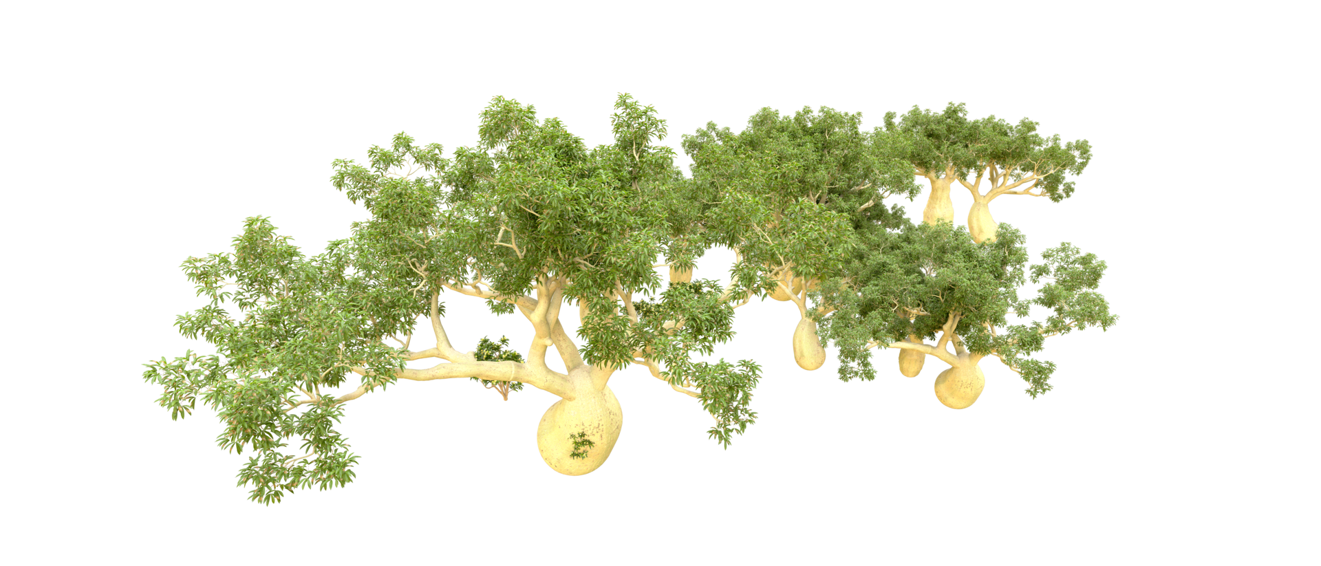 Green forest isolated on background. 3d rendering - illustration png