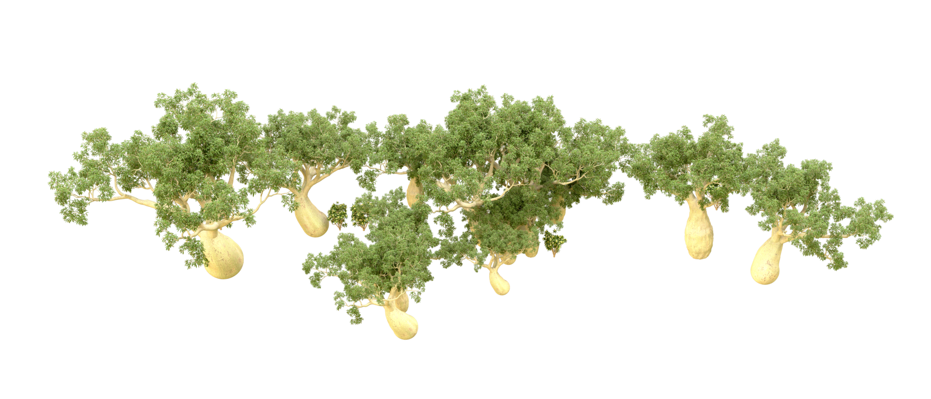 verde foresta isolato su sfondo. 3d interpretazione - illustrazione png