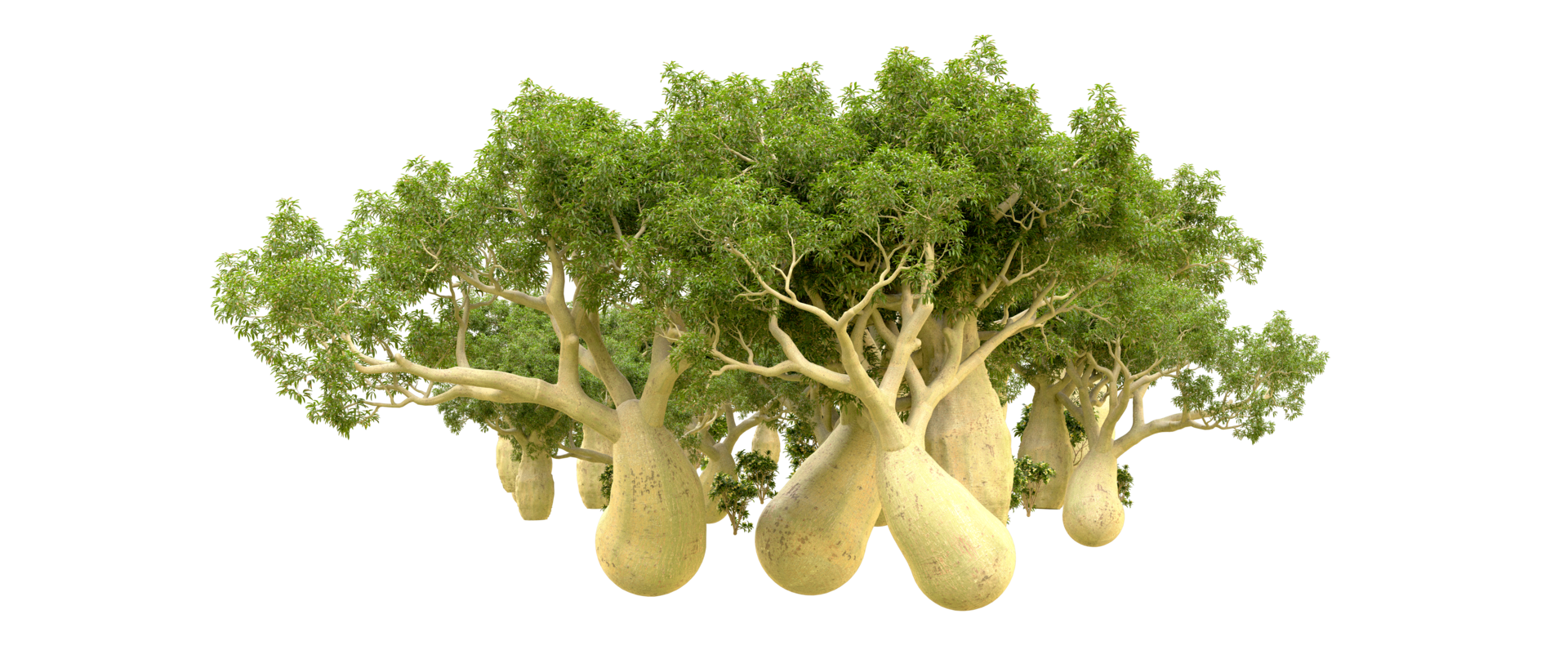 Green forest isolated on background. 3d rendering - illustration png