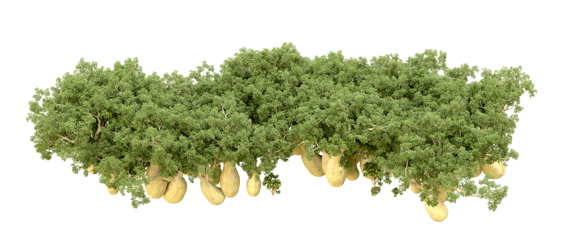 Green forest isolated on background. 3d rendering - illustration png
