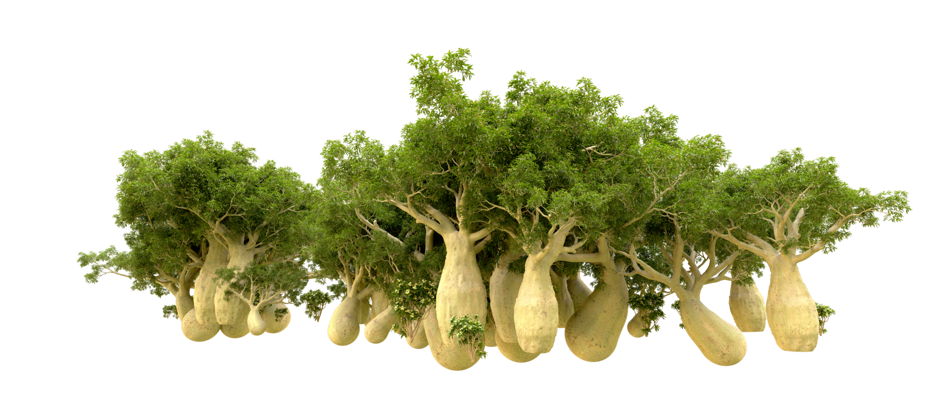 Green forest isolated on background. 3d rendering - illustration png