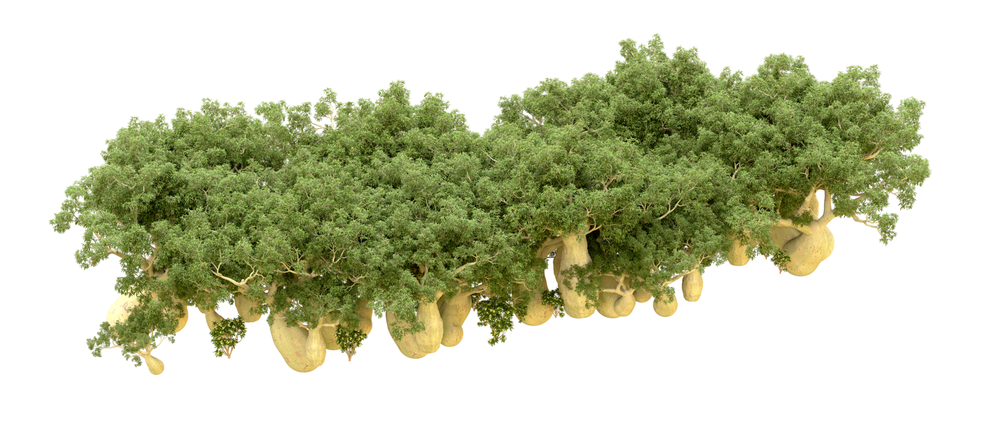 Green forest isolated on background. 3d rendering - illustration png