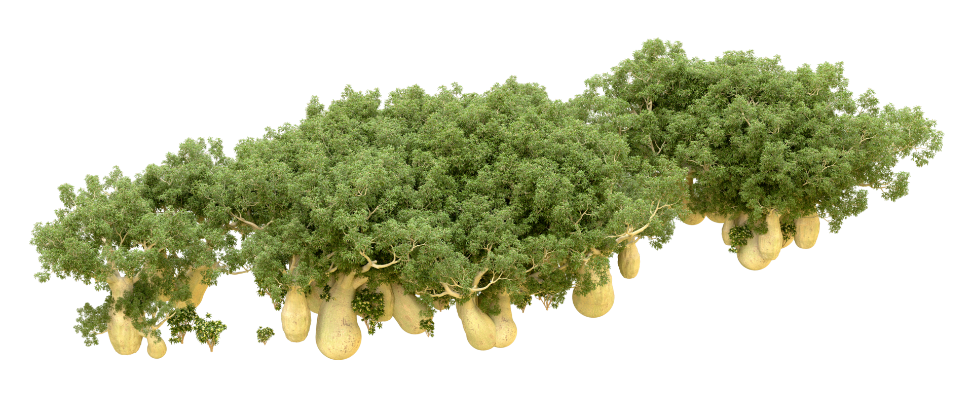 Green forest isolated on background. 3d rendering - illustration png