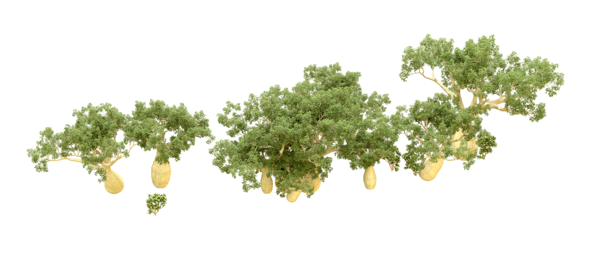 Green forest isolated on background. 3d rendering - illustration png