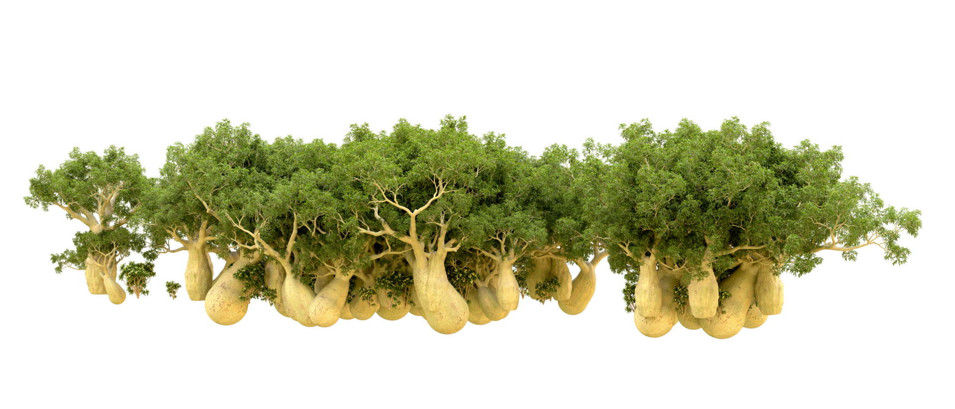 Green forest isolated on background. 3d rendering - illustration png