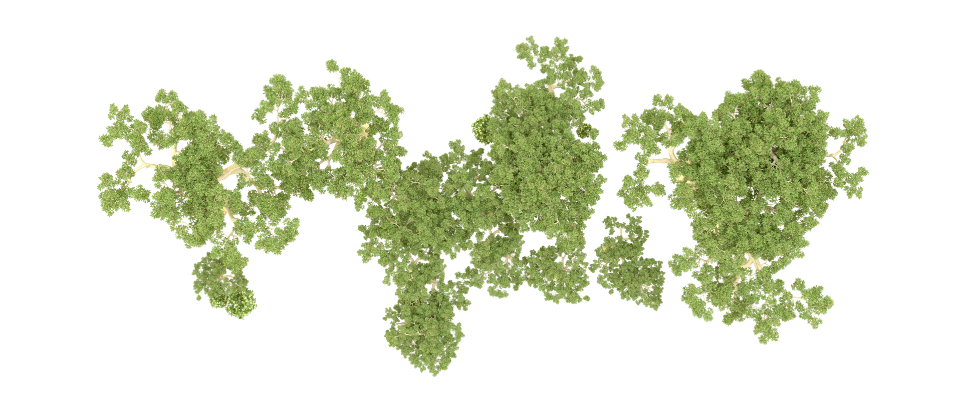 Green forest isolated on background. 3d rendering - illustration png
