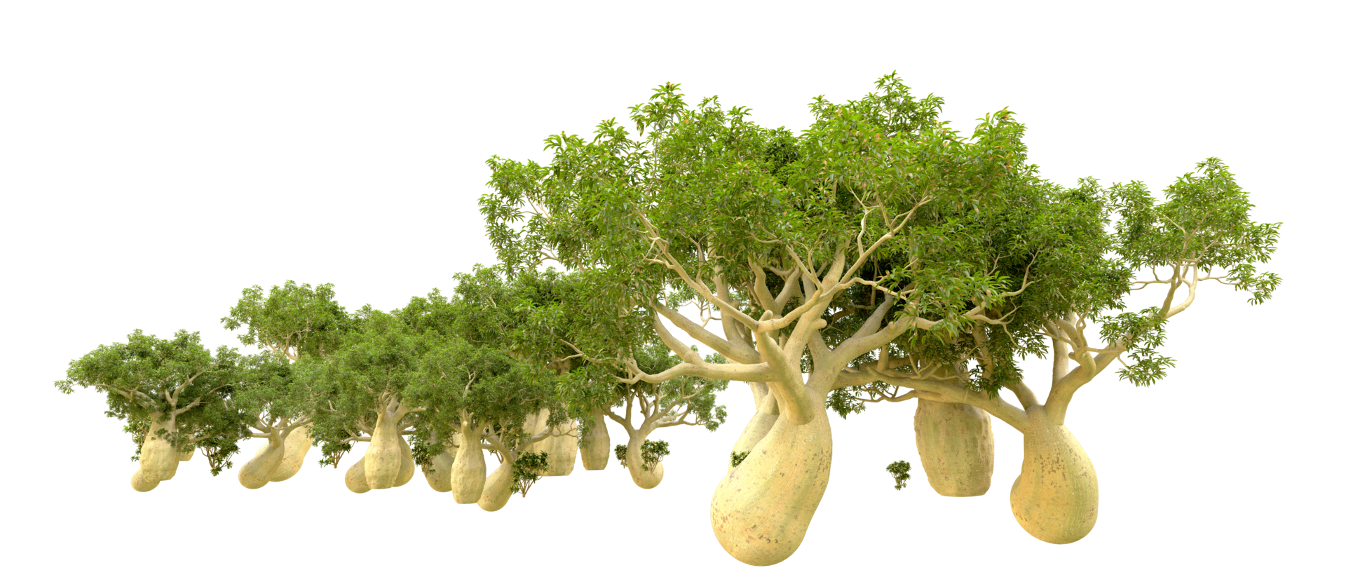 Green forest isolated on background. 3d rendering - illustration png