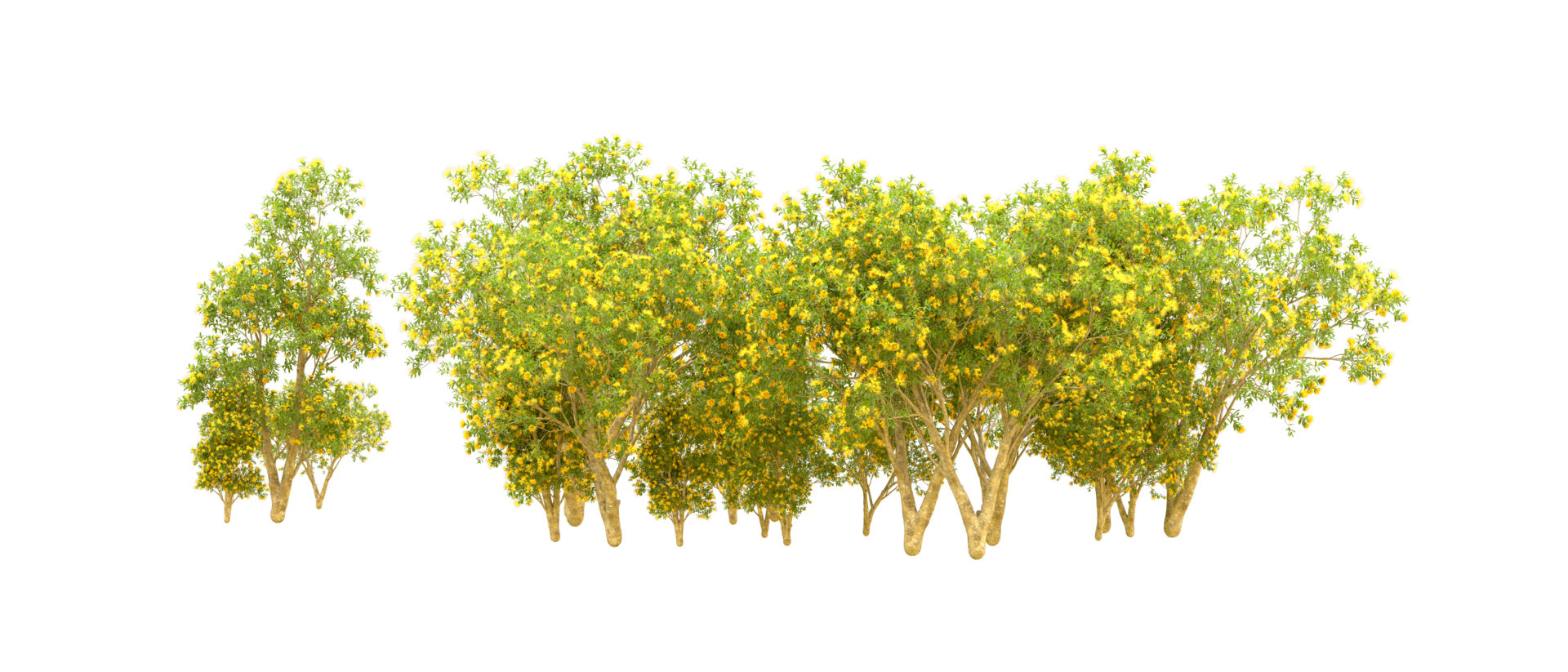 Green forest isolated on background. 3d rendering - illustration png