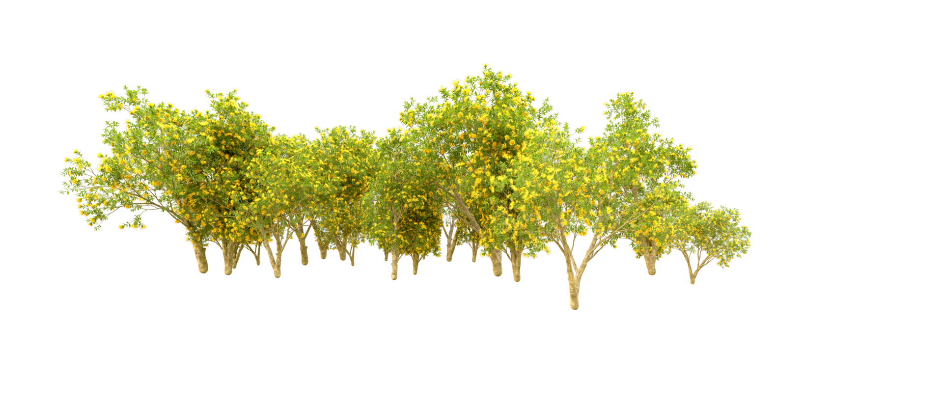 Green forest isolated on background. 3d rendering - illustration png