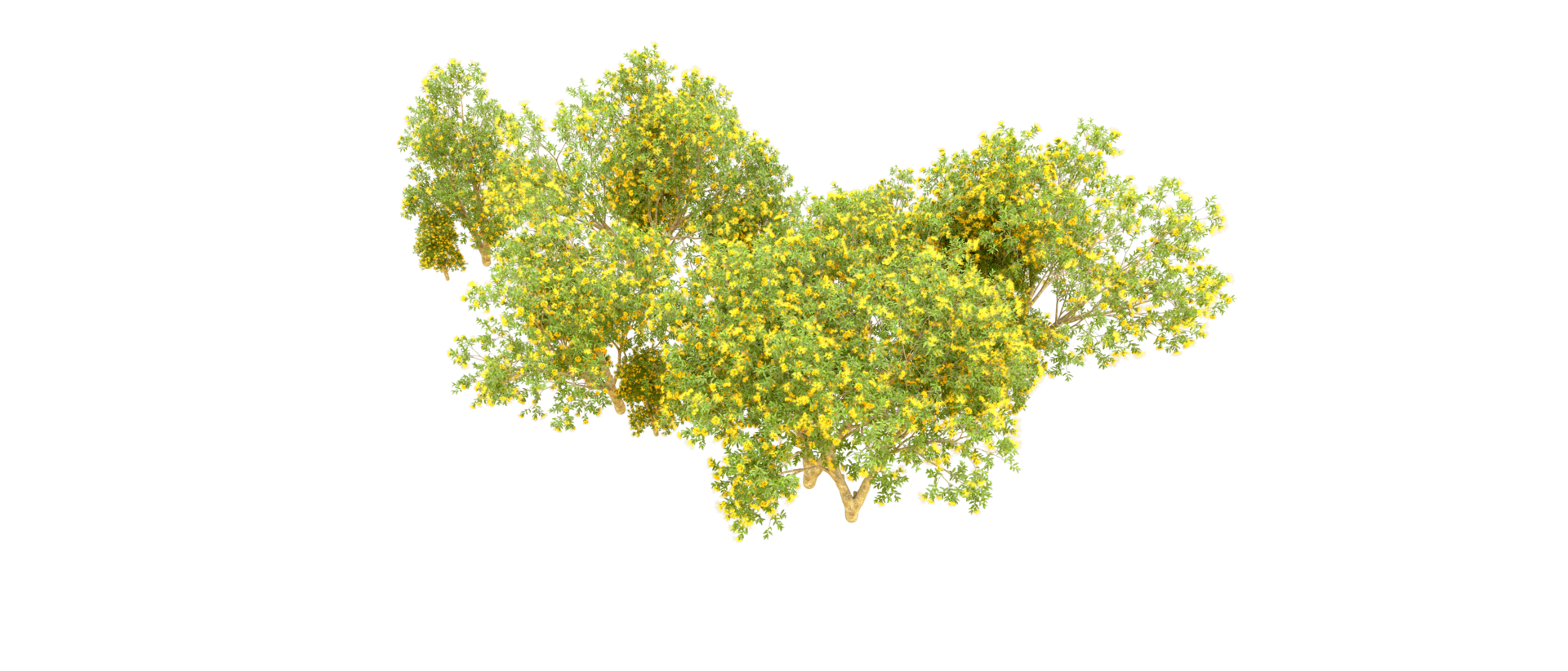 Green forest isolated on background. 3d rendering - illustration png