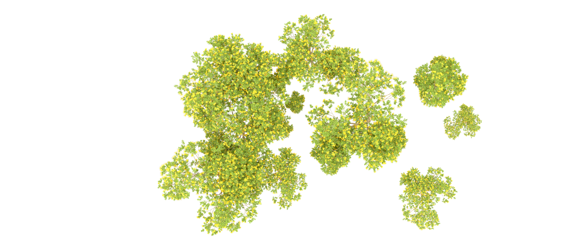 Green forest isolated on background. 3d rendering - illustration png
