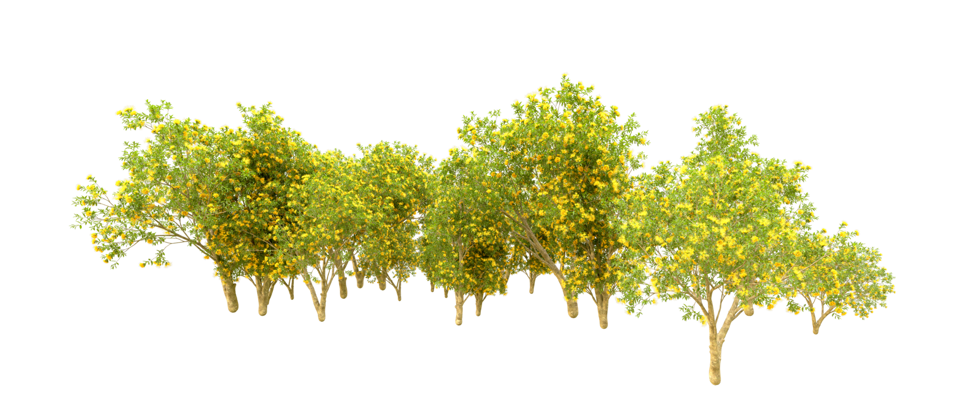 Green forest isolated on background. 3d rendering - illustration png