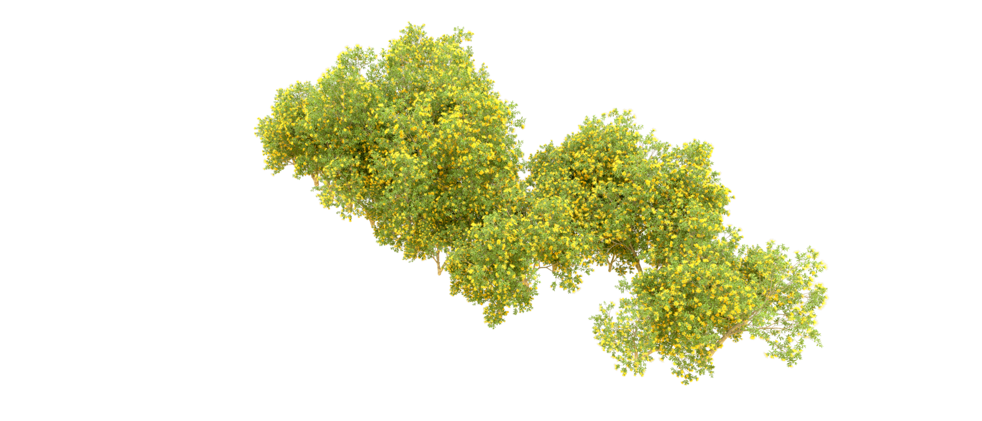 Green forest isolated on background. 3d rendering - illustration png