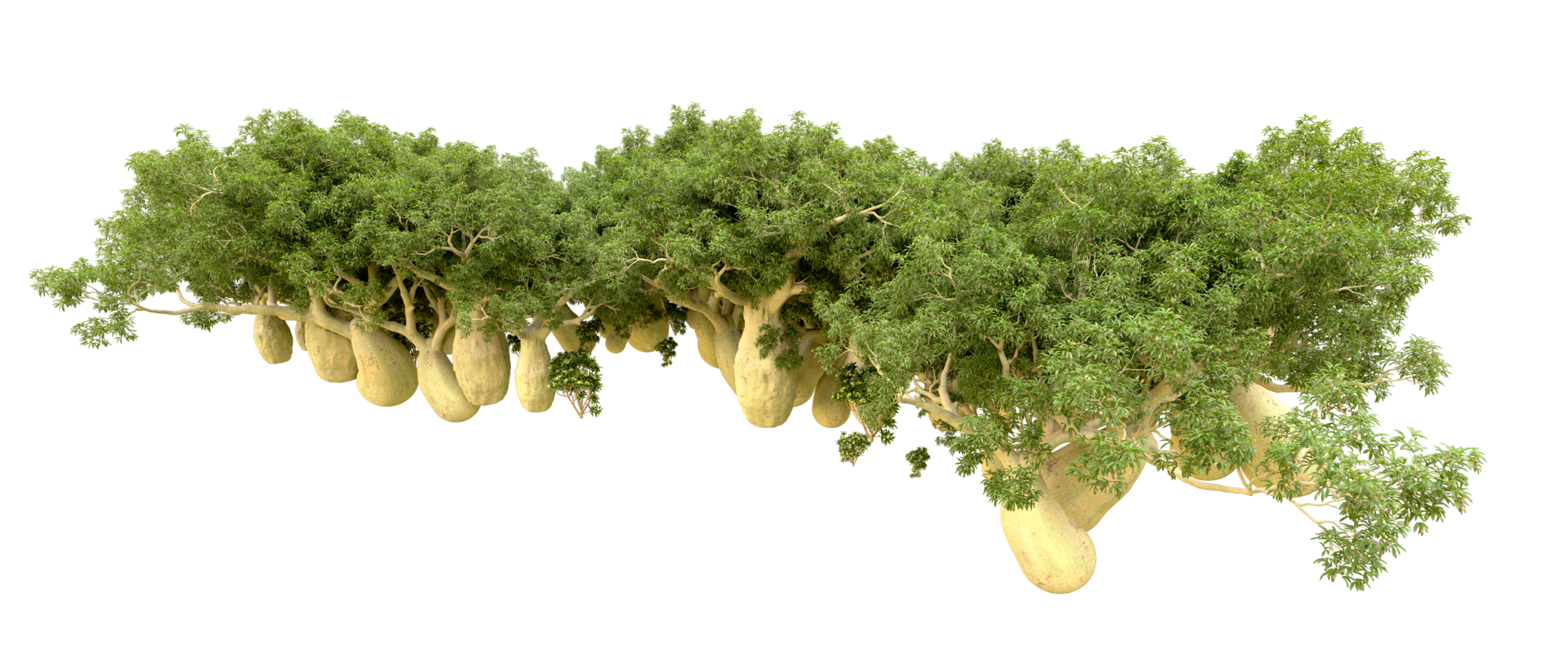 Green forest isolated on background. 3d rendering - illustration png