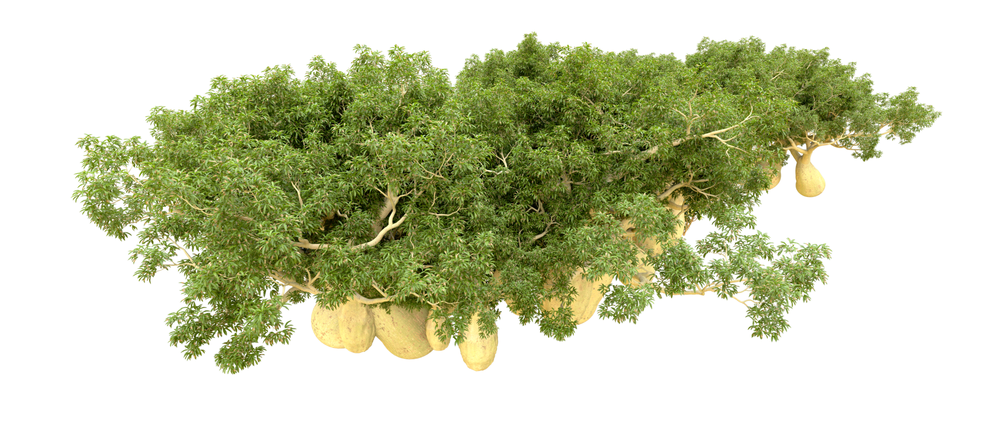Green forest isolated on background. 3d rendering - illustration png