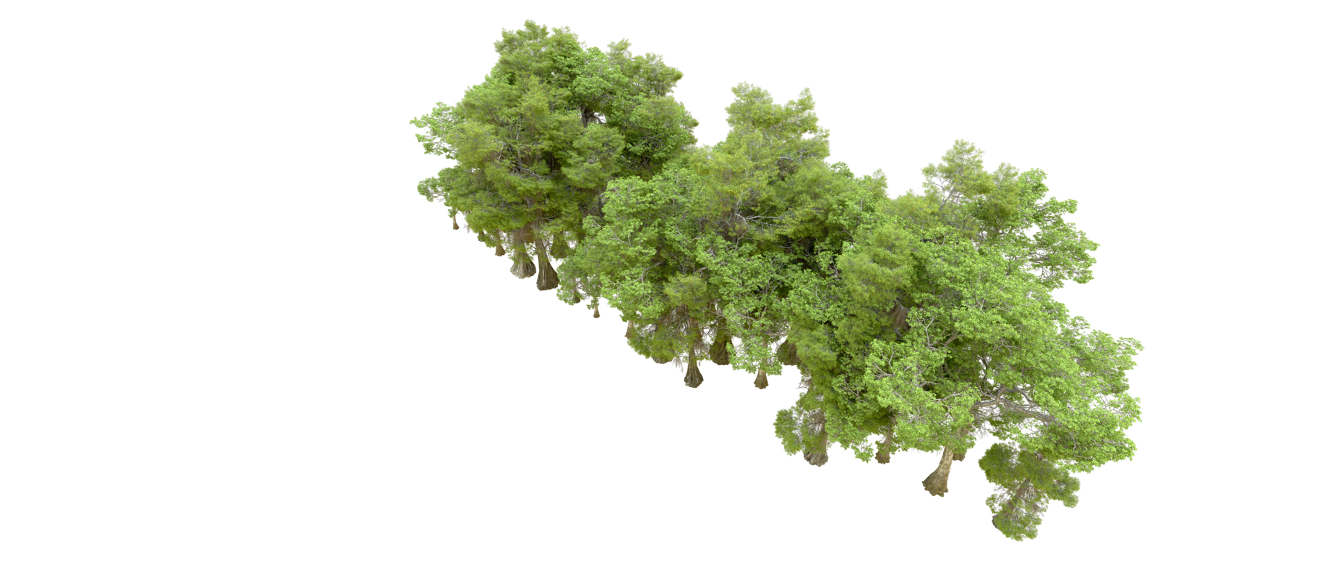 Green forest isolated on background. 3d rendering - illustration png