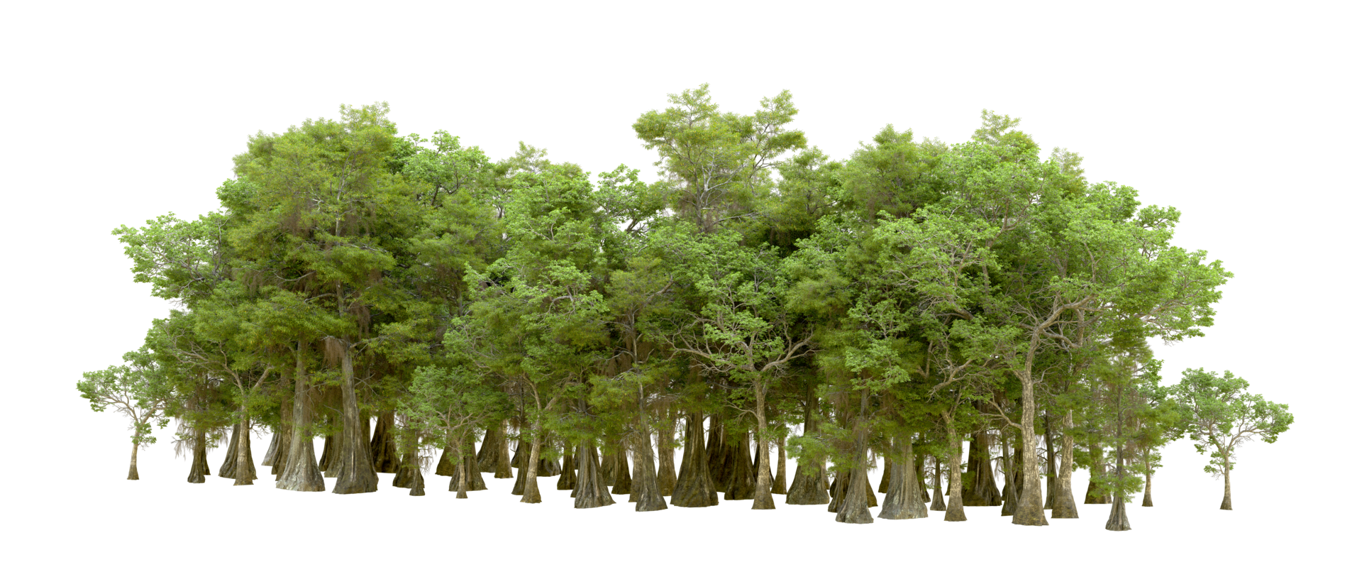 Green forest isolated on background. 3d rendering - illustration png