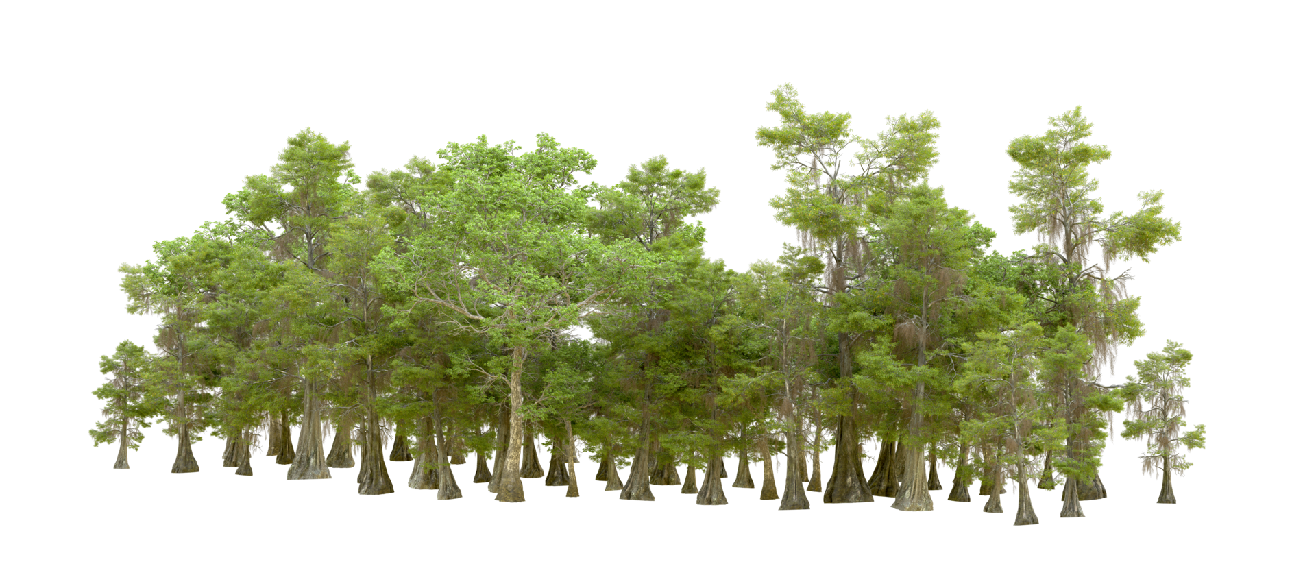 Green forest isolated on background. 3d rendering - illustration png