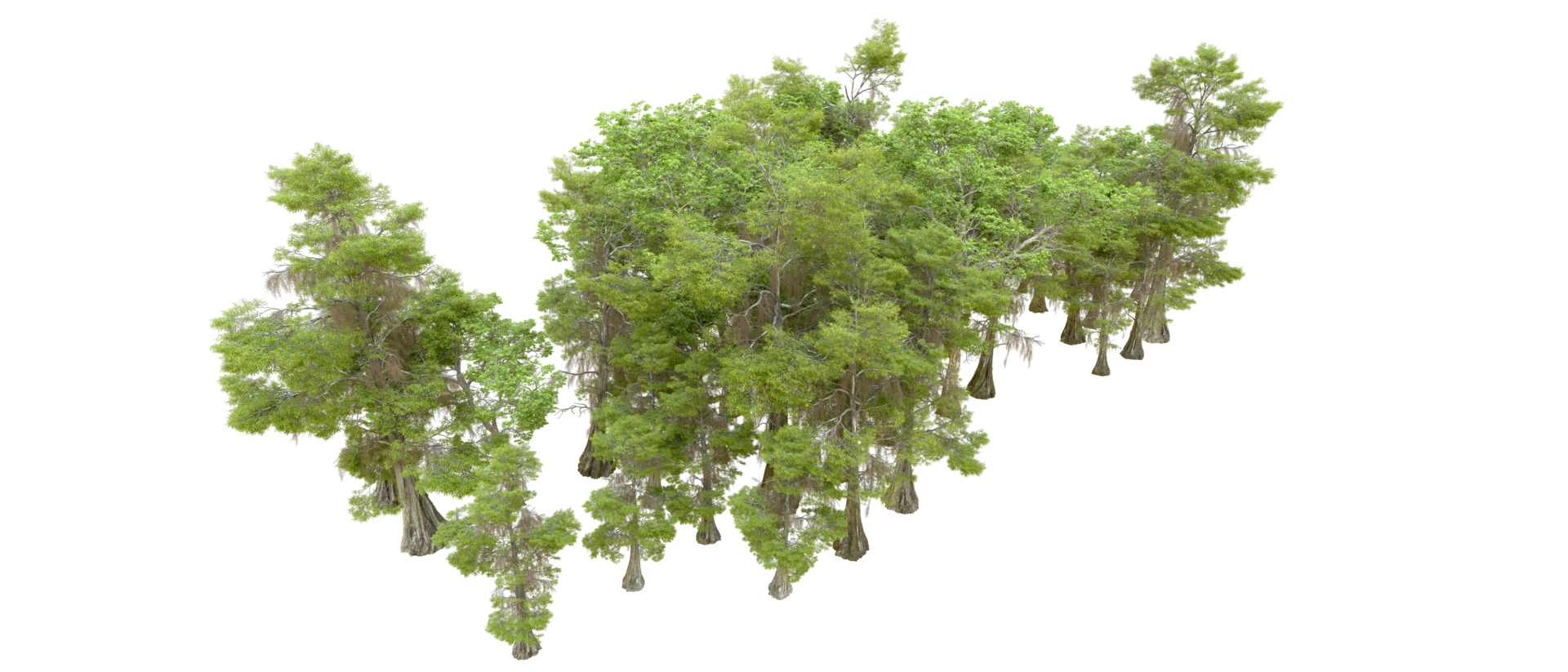 Green forest isolated on background. 3d rendering - illustration png