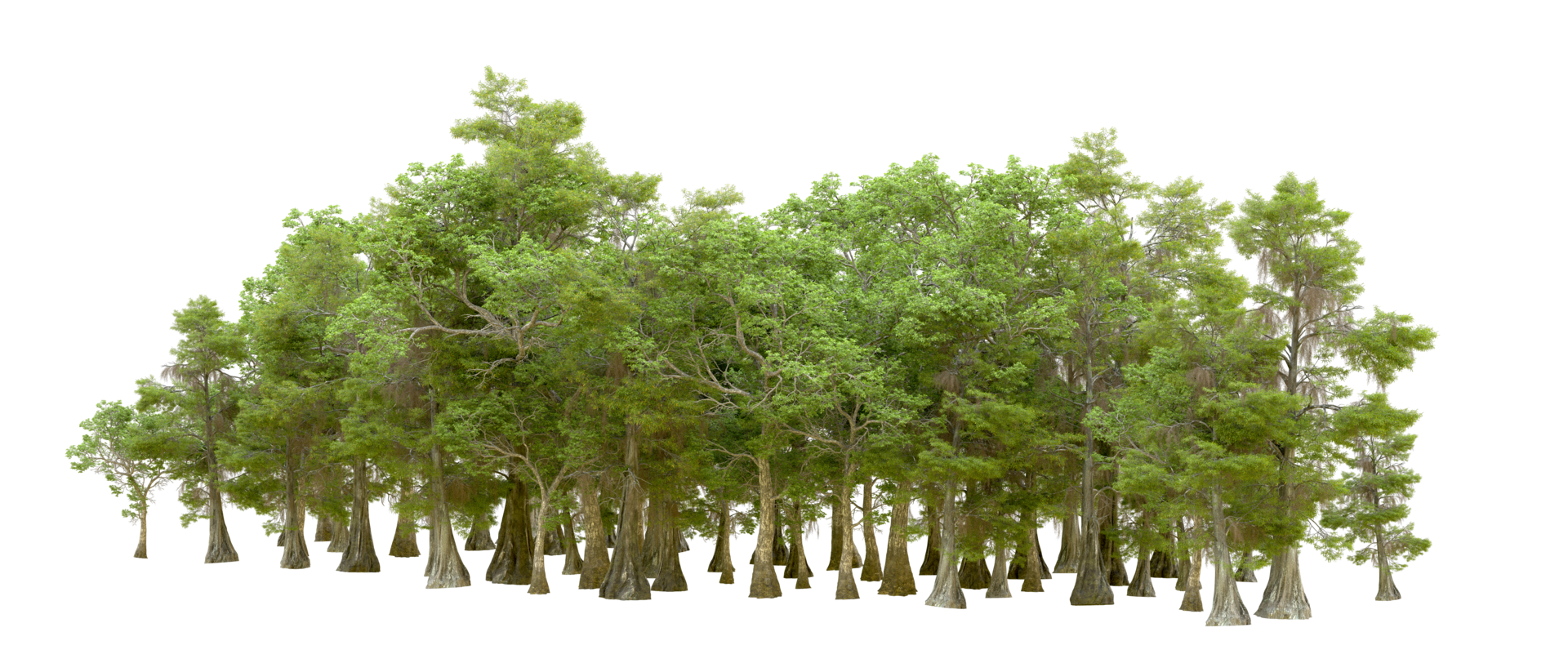 Green forest isolated on background. 3d rendering - illustration png