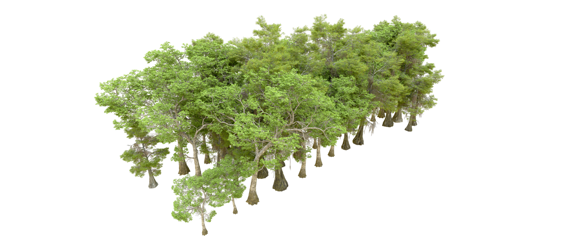 Green forest isolated on background. 3d rendering - illustration png