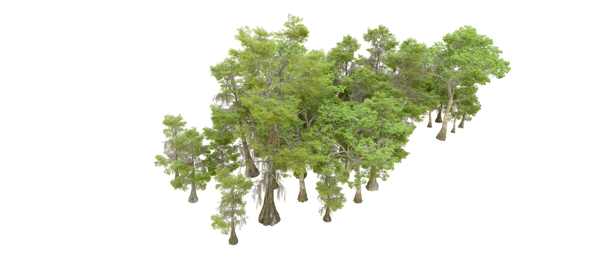 Green forest isolated on background. 3d rendering - illustration png