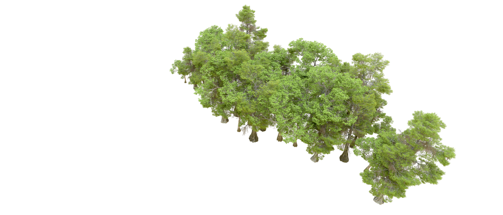 Green forest isolated on background. 3d rendering - illustration png