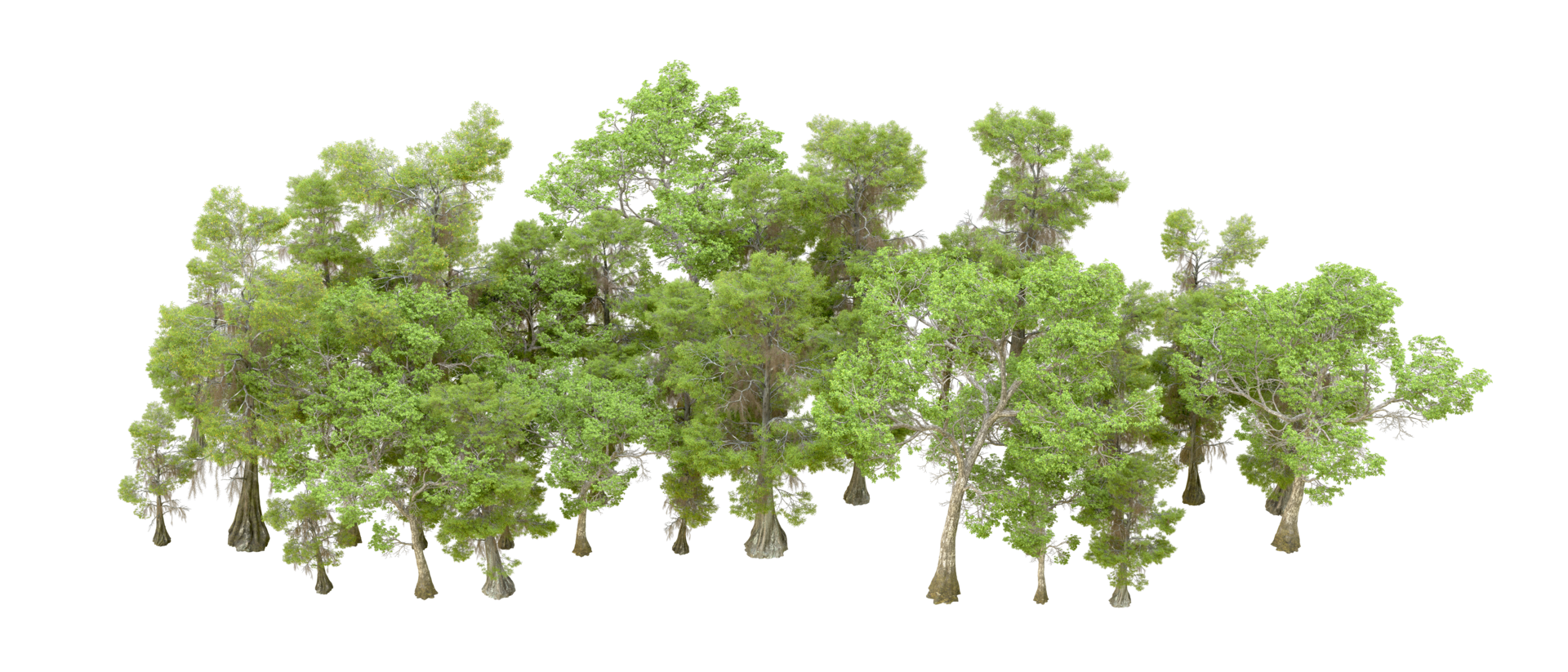 Green forest isolated on background. 3d rendering - illustration png