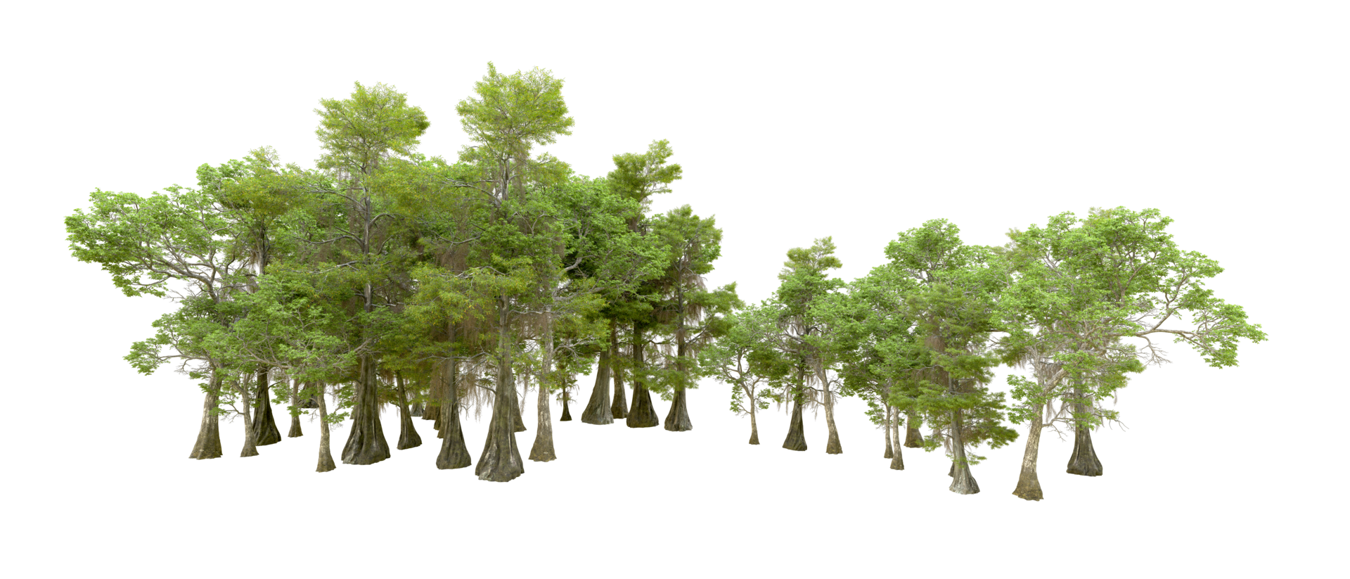 Green forest isolated on background. 3d rendering - illustration png