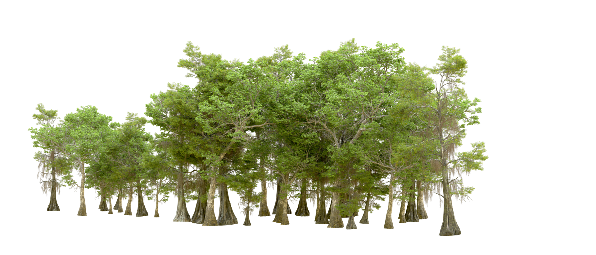 Green forest isolated on background. 3d rendering - illustration png