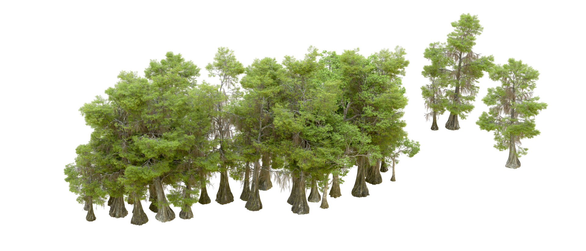 Green forest isolated on background. 3d rendering - illustration png