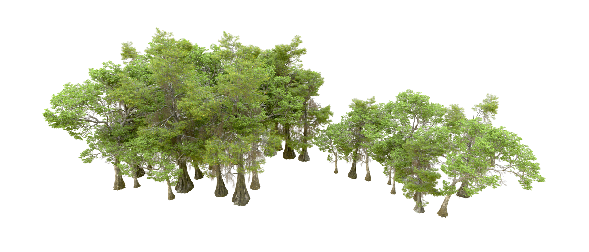 Green forest isolated on background. 3d rendering - illustration png