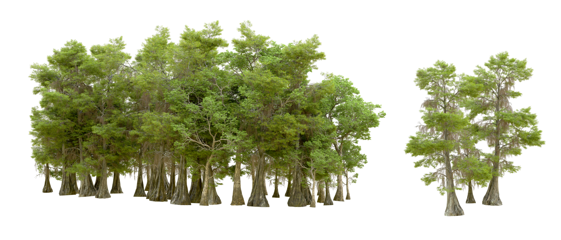 Green forest isolated on background. 3d rendering - illustration png
