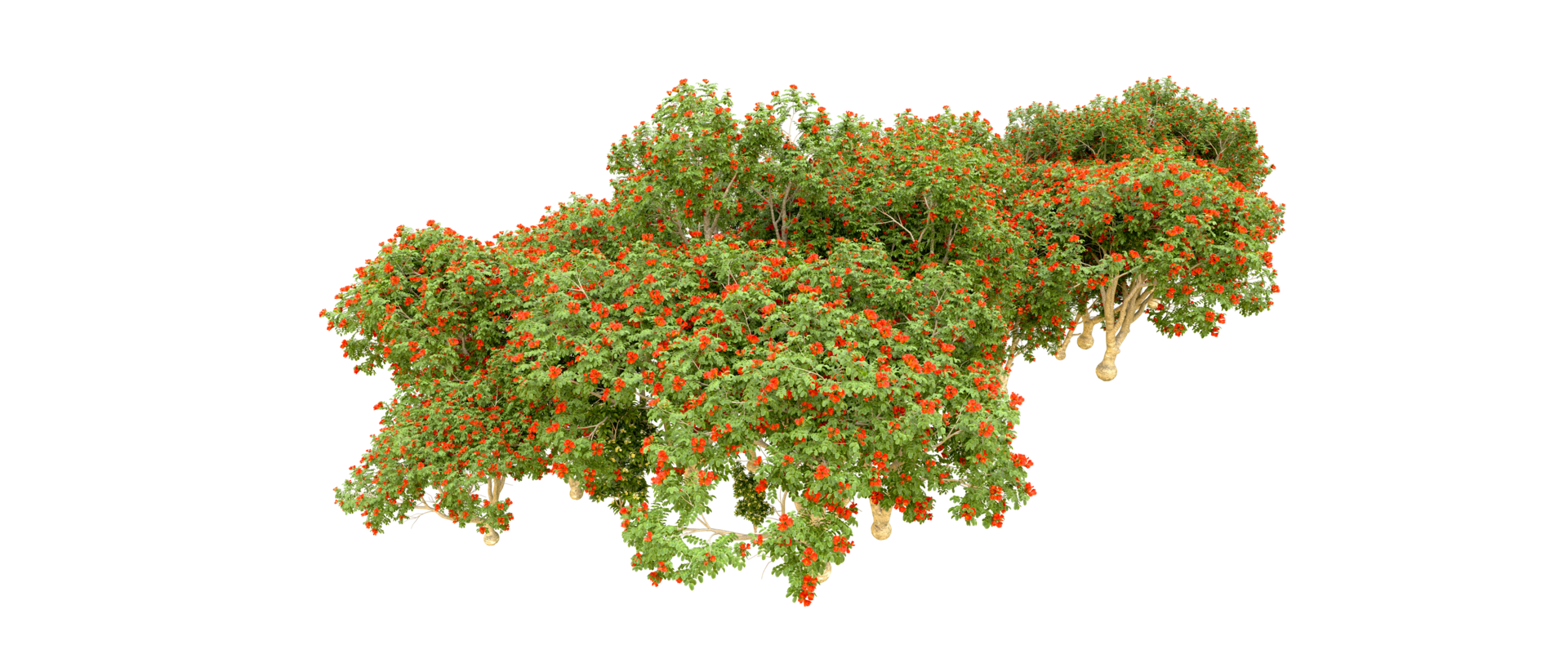 Green forest isolated on background. 3d rendering - illustration png