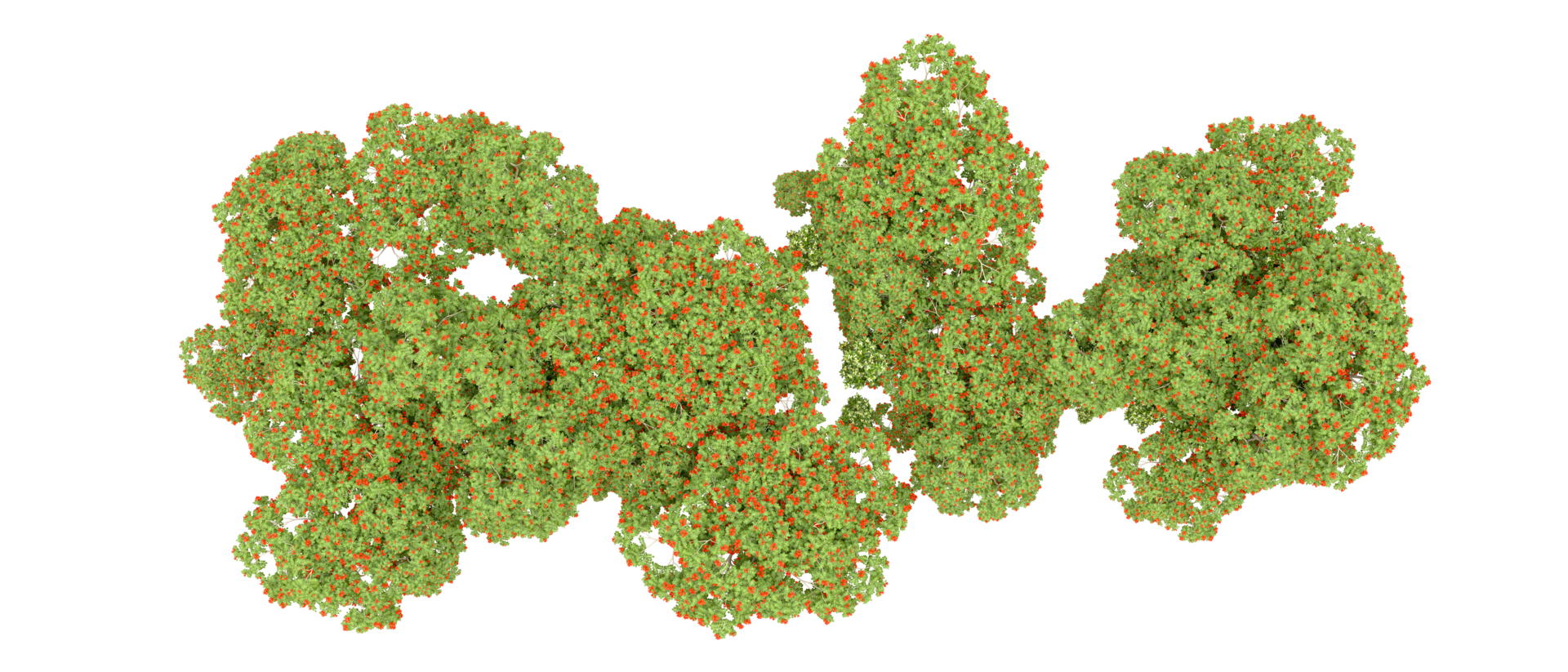 vert forêt isolé sur Contexte. 3d le rendu - illustration png