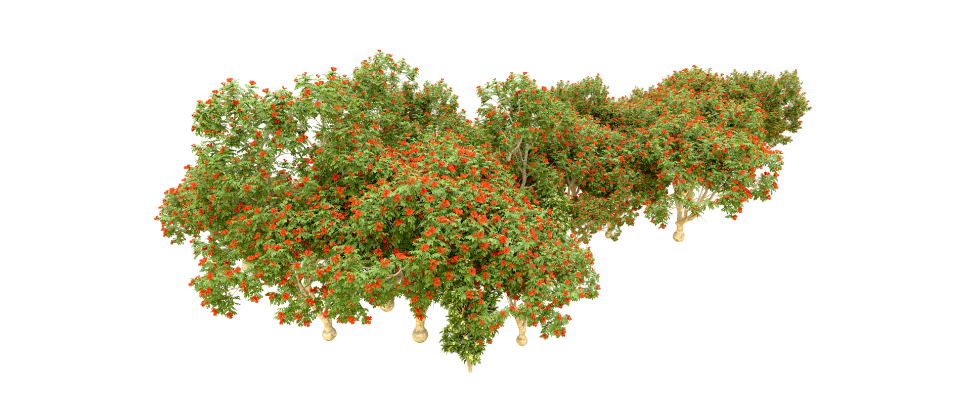 verde floresta isolado em fundo. 3d Renderização - ilustração png