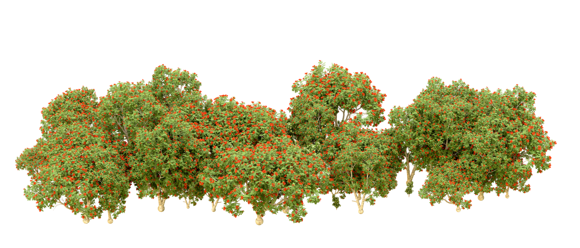 Green forest isolated on background. 3d rendering - illustration png