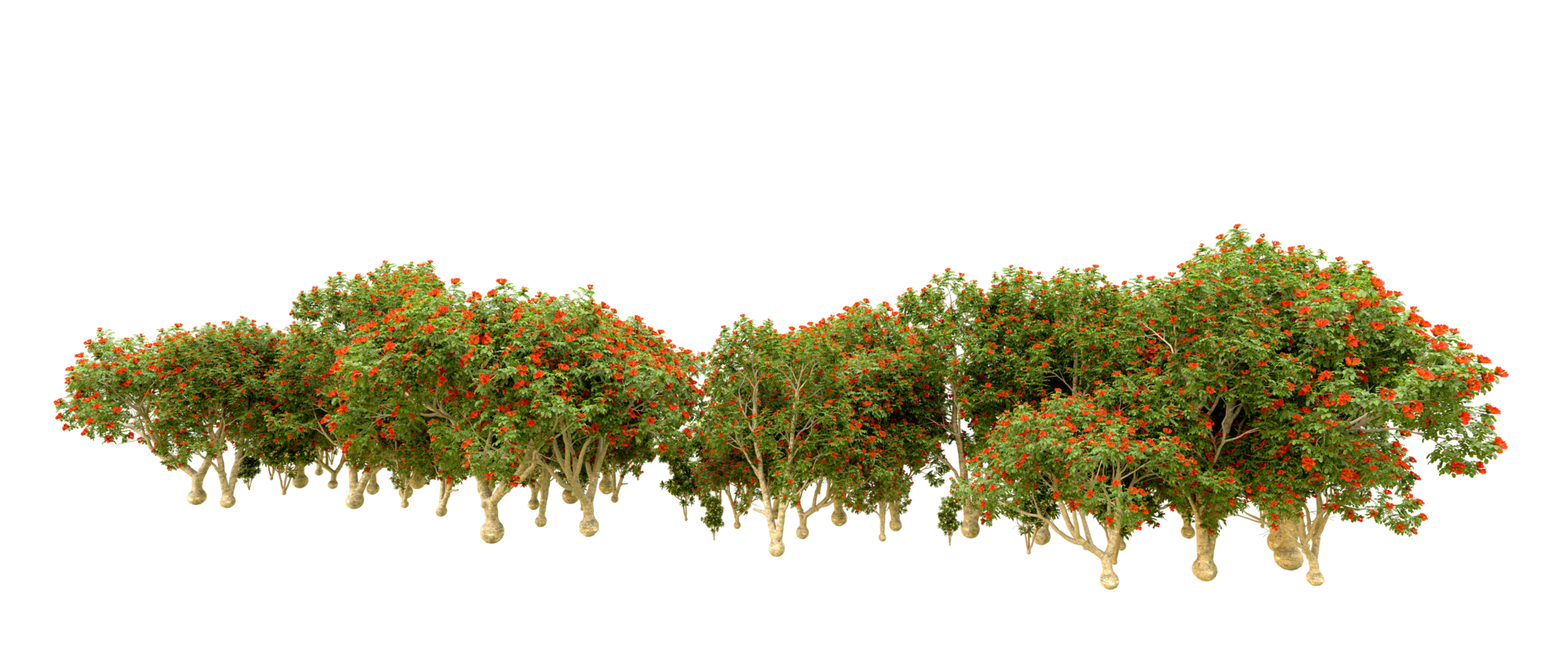 Green forest isolated on background. 3d rendering - illustration png