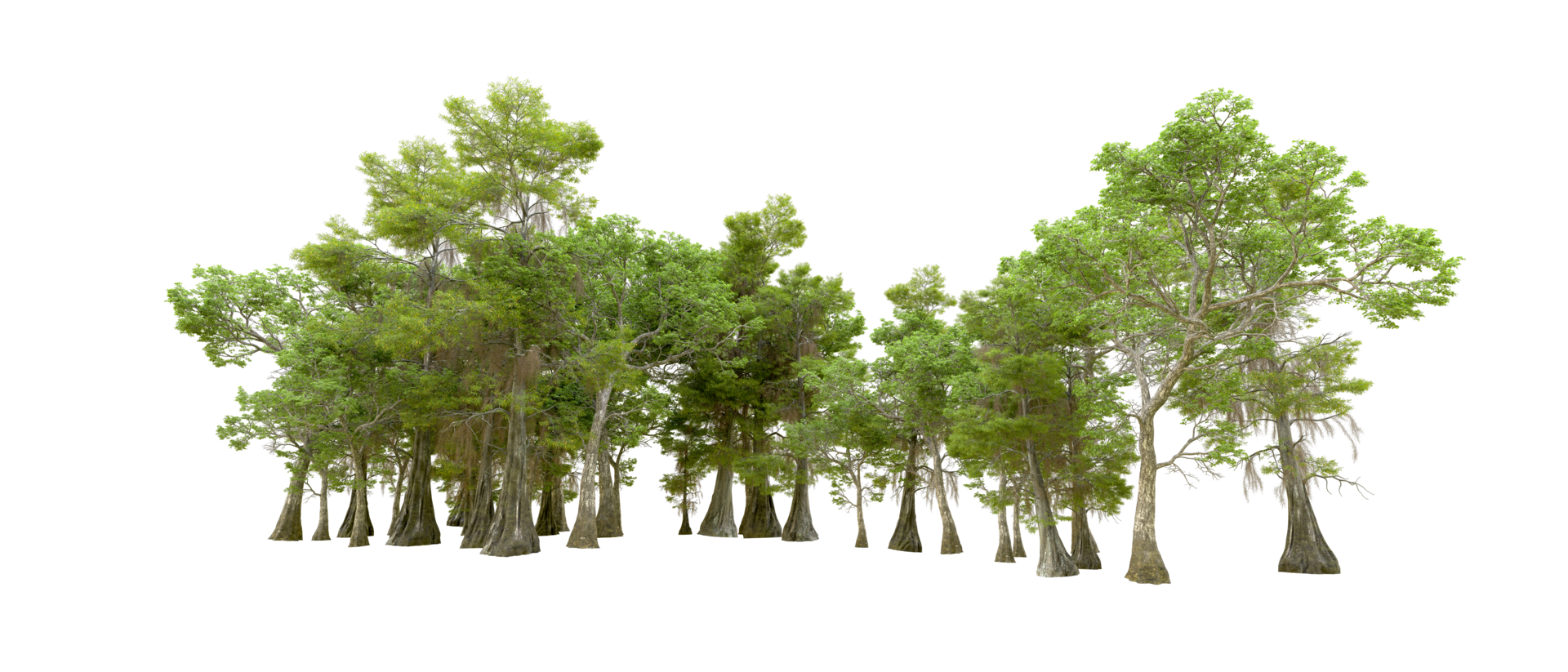 Green forest isolated on background. 3d rendering - illustration png