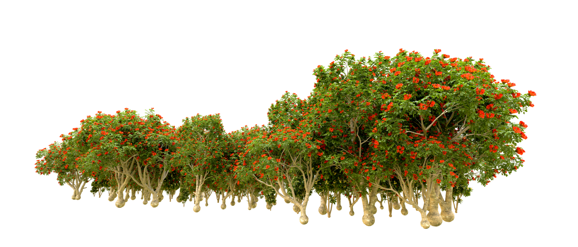 Green forest isolated on background. 3d rendering - illustration png